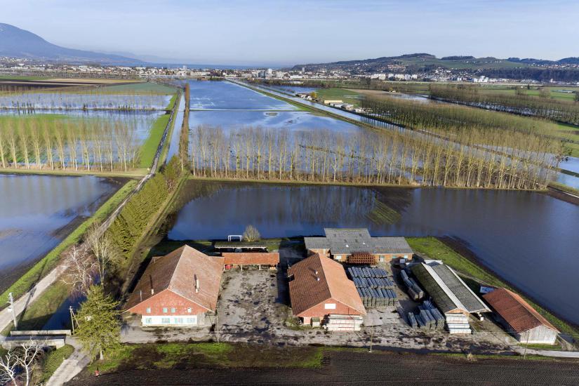 YVERDON JANVIER 2018.Champs inondée suite aux intempérie ,entre le canal du Mujon et de la Thielle a la hauteur de l' aérodrome 