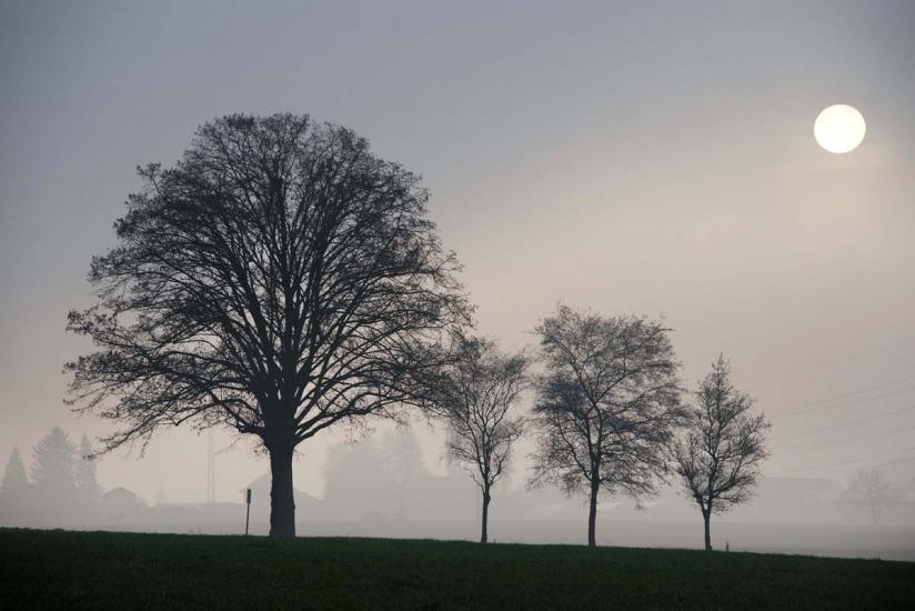 Brouillard dans la plaine de la Broye